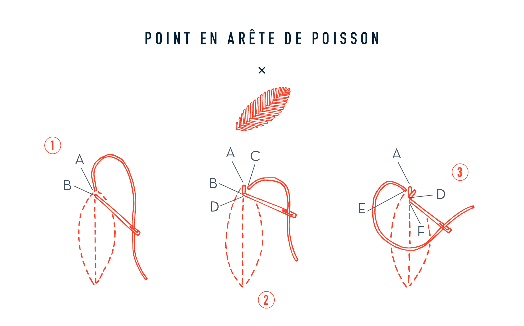 point de tige, de chaînette, de semis, en arête de poisson